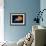 Profile of Floating Jellyfish with Trailing Tentacles.-Reinhold Leitner-Framed Photographic Print displayed on a wall