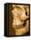 Profile of Human Skull-null-Framed Premier Image Canvas