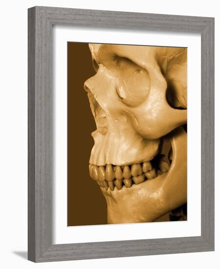 Profile of Human Skull-null-Framed Photographic Print