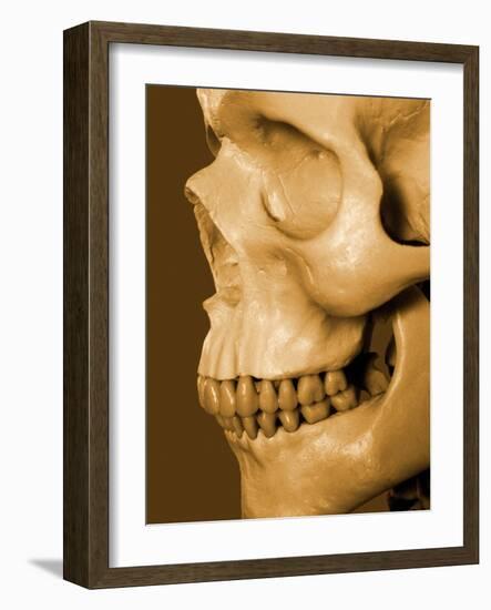 Profile of Human Skull-null-Framed Photographic Print