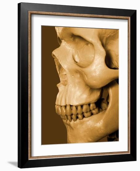 Profile of Human Skull-null-Framed Photographic Print