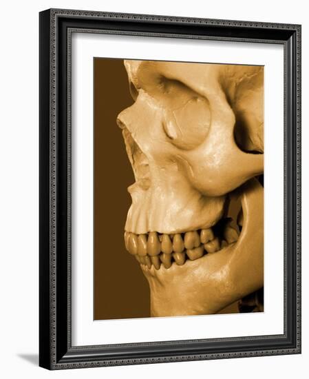 Profile of Human Skull-null-Framed Photographic Print