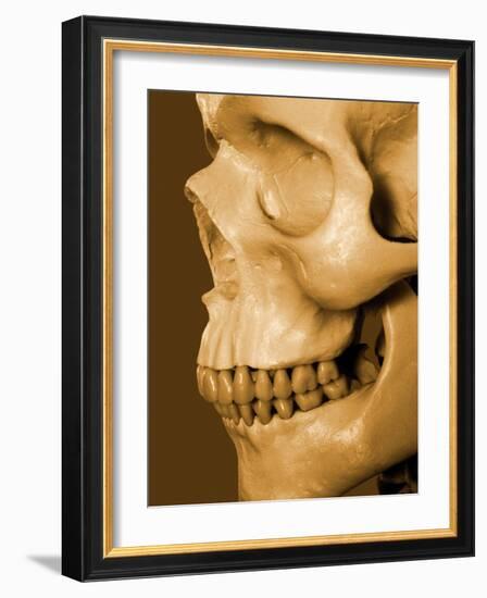 Profile of Human Skull-null-Framed Photographic Print