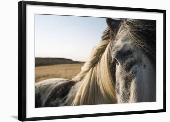 Profile-Andreas Stridsberg-Framed Giclee Print