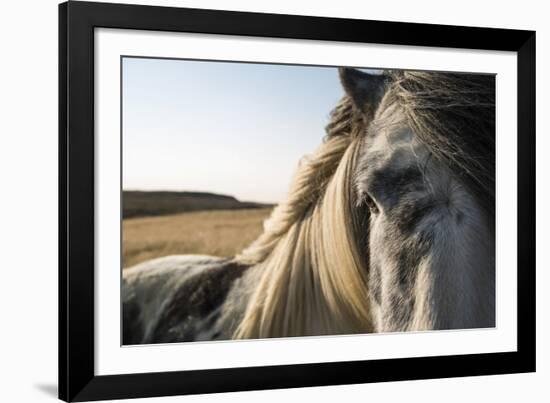 Profile-Andreas Stridsberg-Framed Giclee Print