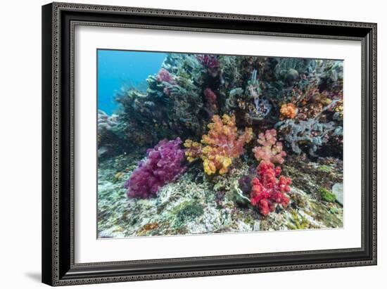 Profusion of hard and soft corals on Tengah Kecil Island, Komodo Nat'l Park, Flores Sea, Indonesia-Michael Nolan-Framed Photographic Print