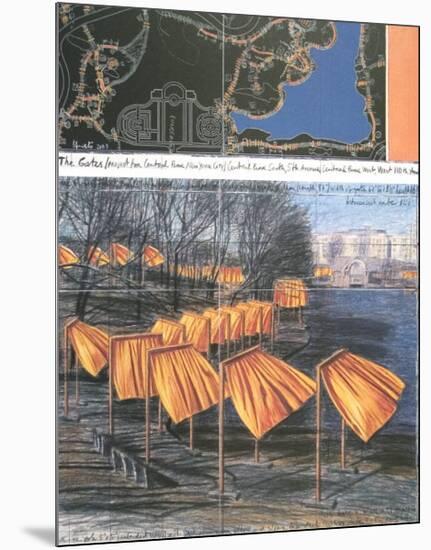 Project for the Gates-Christo-Mounted Art Print