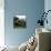 Promegantereon Sabre-tooth Cat, Artwork-Mauricio Anton-Premium Photographic Print displayed on a wall