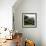 Promegantereon Sabre-tooth Cat, Artwork-Mauricio Anton-Framed Premium Photographic Print displayed on a wall