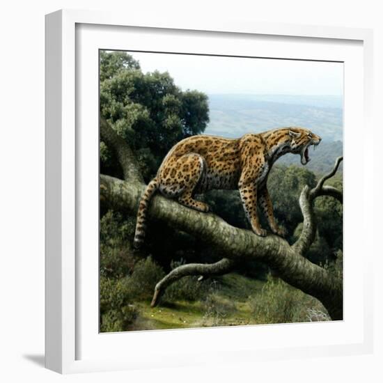 Promegantereon Sabre-tooth Cat, Artwork-Mauricio Anton-Framed Premium Photographic Print