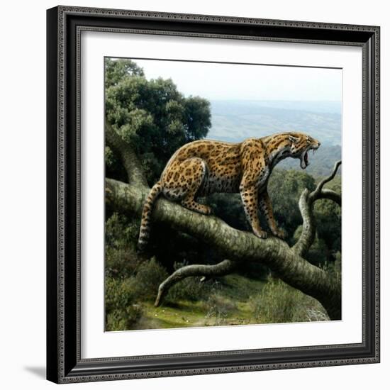 Promegantereon Sabre-tooth Cat, Artwork-Mauricio Anton-Framed Premium Photographic Print