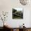 Promegantereon Sabre-tooth Cat, Artwork-Mauricio Anton-Photographic Print displayed on a wall