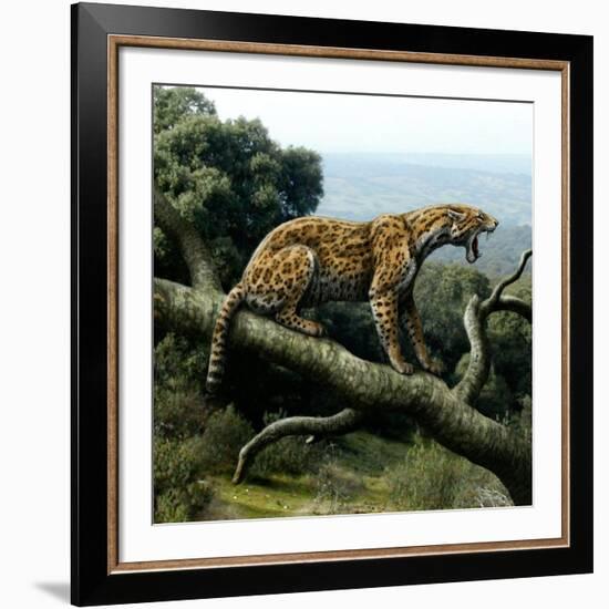 Promegantereon Sabre-tooth Cat, Artwork-Mauricio Anton-Framed Photographic Print