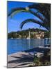 Promenade and Harbour, Cavtat, Croatia, Europe-Nelly Boyd-Mounted Photographic Print