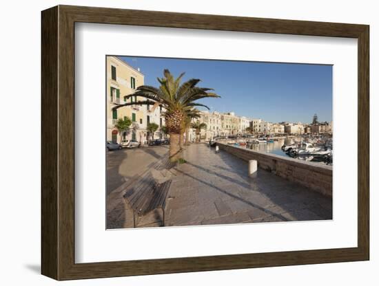 Promenade at the Harbour, Old Town, Trani, Le Murge, Barletta-Andria-Trani District-Markus Lange-Framed Photographic Print