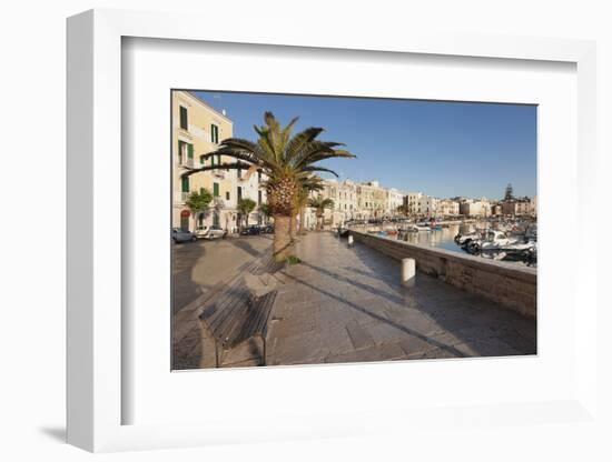 Promenade at the Harbour, Old Town, Trani, Le Murge, Barletta-Andria-Trani District-Markus Lange-Framed Photographic Print