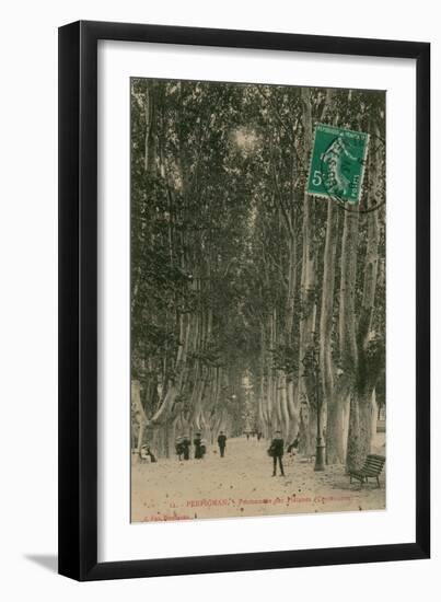 Promenade des Platanes in Perpignan. Postcard Sent in 1913-French Photographer-Framed Giclee Print