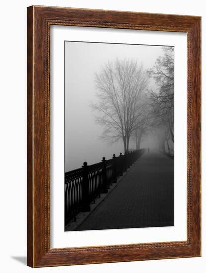 Promenade in the Mist-null-Framed Art Print