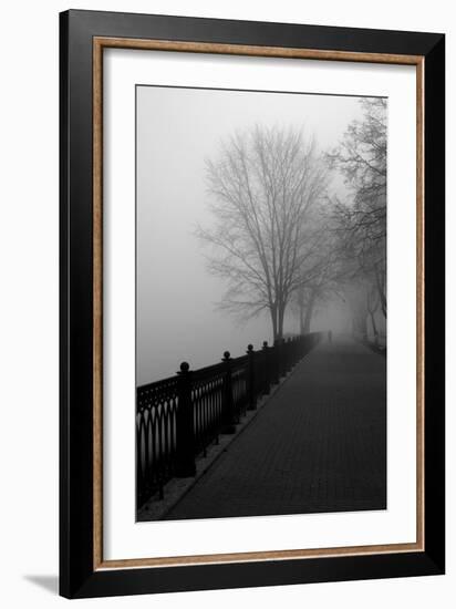 Promenade in the Mist-null-Framed Art Print