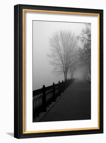 Promenade in the Mist-null-Framed Art Print