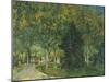 Promenaders, Jardin Du Poete (Arles), 1888-Vincent van Gogh-Mounted Giclee Print