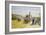 Promenaders Near Buckingham Palace, C.1889-John Sutton-Framed Giclee Print