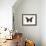 Promethea Moth (Callosamia Promethea), Insects-Encyclopaedia Britannica-Framed Art Print displayed on a wall