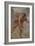 Prometheus, Ca 1636-Peter Paul Rubens-Framed Giclee Print