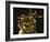 Prometheus Statue, Rockefeller Center, Manhattan, New York City, New York, USA-Amanda Hall-Framed Photographic Print