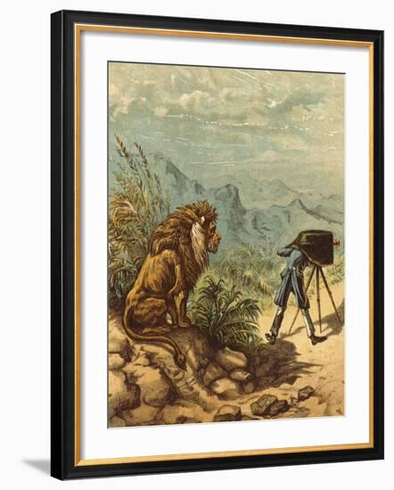 Promising Outlook, Lion Observes Photographer-Ernest Henry Griset-Framed Photographic Print