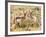 Prong Horn Antelopes, Yellowstone National Park, Wyoming, USA-Tom Norring-Framed Photographic Print