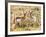 Prong Horn Antelopes, Yellowstone National Park, Wyoming, USA-Tom Norring-Framed Photographic Print