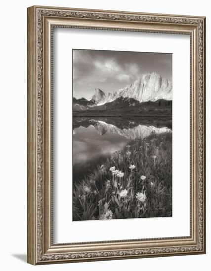 Pronghorn and Dragon Head Peaks BW-Alan Majchrowicz-Framed Photographic Print