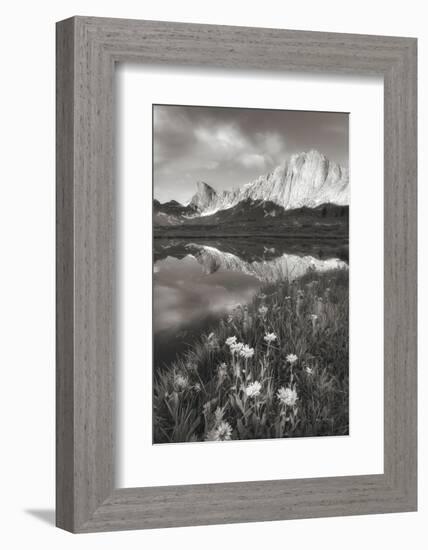 Pronghorn and Dragon Head Peaks BW-Alan Majchrowicz-Framed Photographic Print