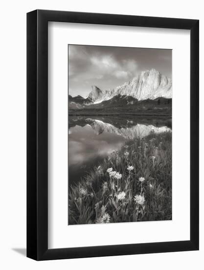 Pronghorn and Dragon Head Peaks BW-Alan Majchrowicz-Framed Photographic Print