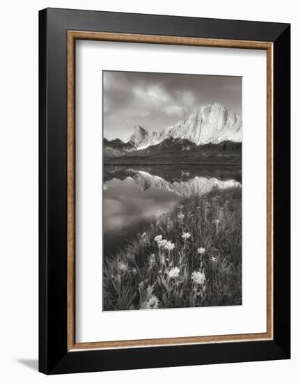 Pronghorn and Dragon Head Peaks BW-Alan Majchrowicz-Framed Photographic Print