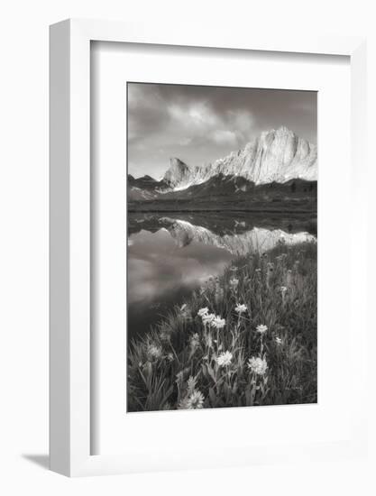 Pronghorn and Dragon Head Peaks BW-Alan Majchrowicz-Framed Photographic Print