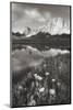 Pronghorn and Dragon Head Peaks BW-Alan Majchrowicz-Mounted Photographic Print