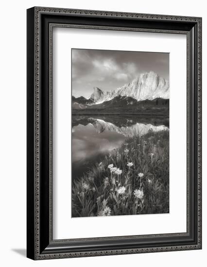 Pronghorn and Dragon Head Peaks BW-Alan Majchrowicz-Framed Photographic Print