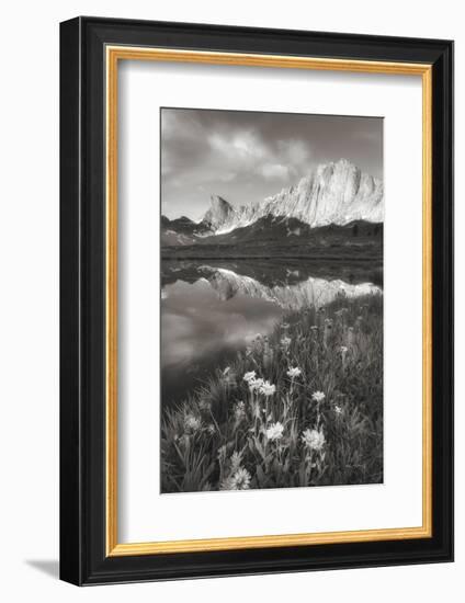 Pronghorn and Dragon Head Peaks BW-Alan Majchrowicz-Framed Photographic Print