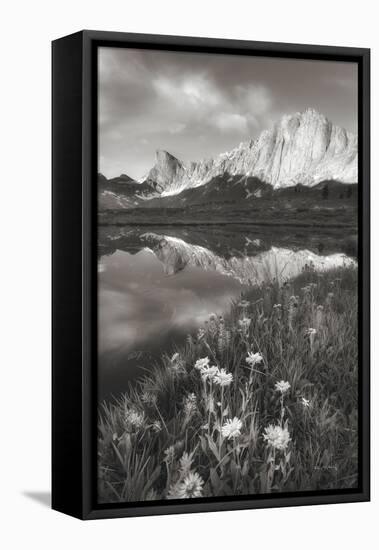 Pronghorn and Dragon Head Peaks BW-Alan Majchrowicz-Framed Premier Image Canvas