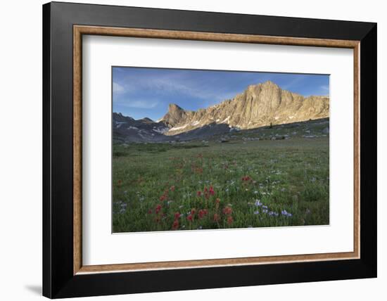 Pronghorn and Dragon Head Peaks, near Lee Lake, Bridger Wilderness. Wind River Range, Wyoming.-Alan Majchrowicz-Framed Photographic Print