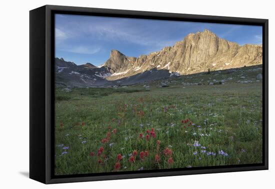 Pronghorn and Dragon Head Peaks, near Lee Lake, Bridger Wilderness. Wind River Range, Wyoming.-Alan Majchrowicz-Framed Premier Image Canvas