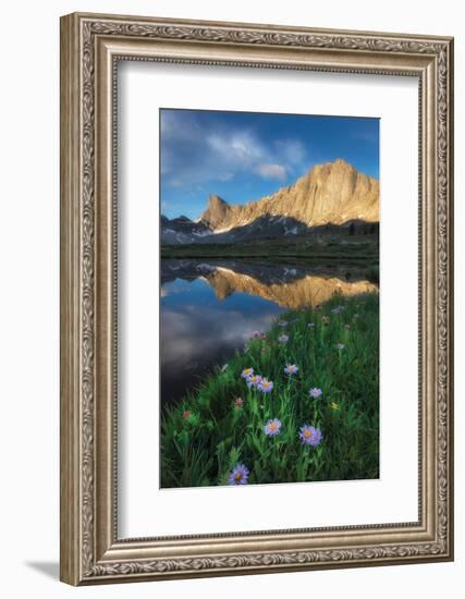 Pronghorn and Dragon Head Peaks-Alan Majchrowicz-Framed Photographic Print