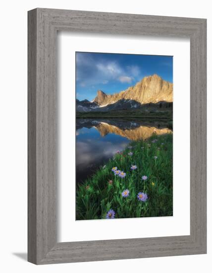 Pronghorn and Dragon Head Peaks-Alan Majchrowicz-Framed Photographic Print