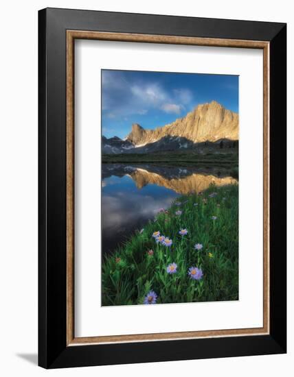 Pronghorn and Dragon Head Peaks-Alan Majchrowicz-Framed Photographic Print