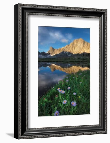 Pronghorn and Dragon Head Peaks-Alan Majchrowicz-Framed Photographic Print