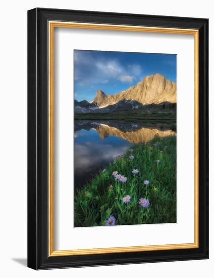 Pronghorn and Dragon Head Peaks-Alan Majchrowicz-Framed Photographic Print