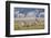 Pronghorn Antelope Buck and Does-Ken Archer-Framed Photographic Print