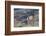 Pronghorn Antelope Buck-Ken Archer-Framed Photographic Print